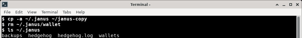 Making the copy and deleting the wallet file in a terminal